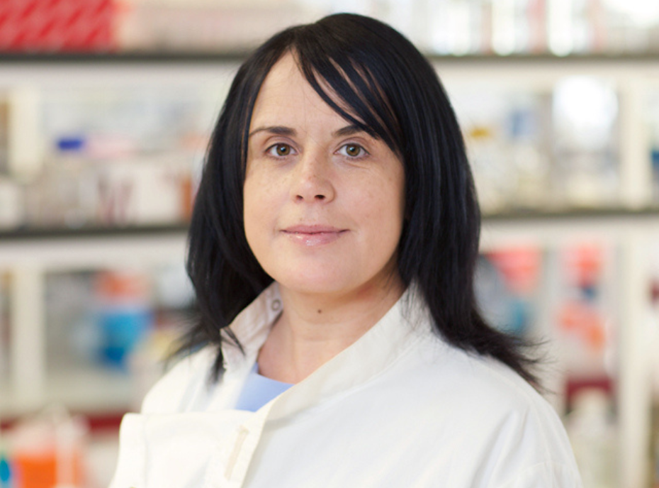 The INTERACT EUROPE-100 TRAINING programme